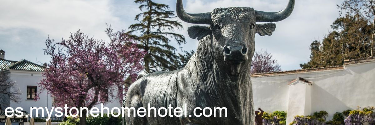 es.mystonehomehotel.com